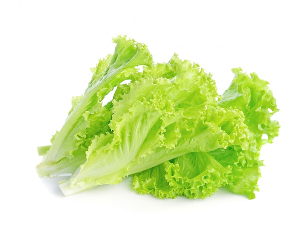 Fresh green lettuce isolated 