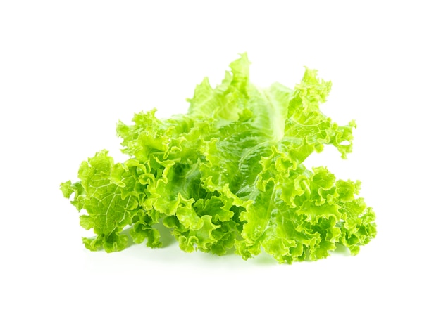 Fresh green lettuce leaves isolated on white