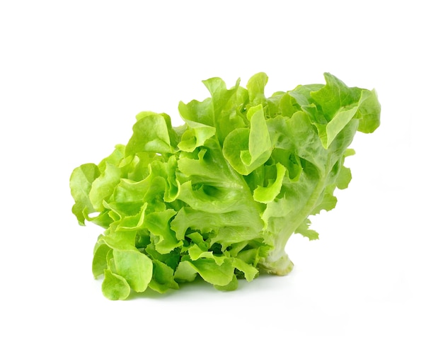 Fresh green lettuce leaves isolated on white