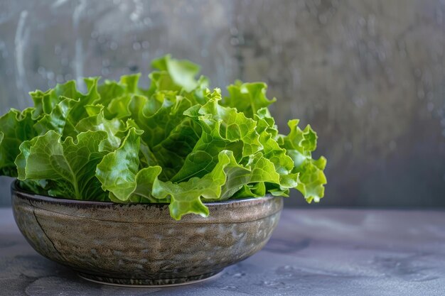 Fresh green lettuce leaves overflowing in rustic bowl on gray background