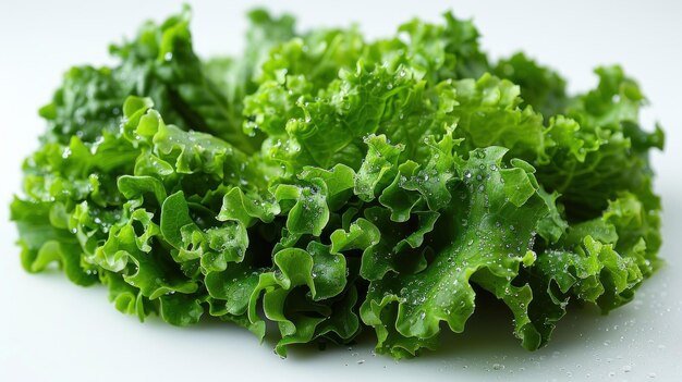 Fresh Green Lettuce with Water Droplets