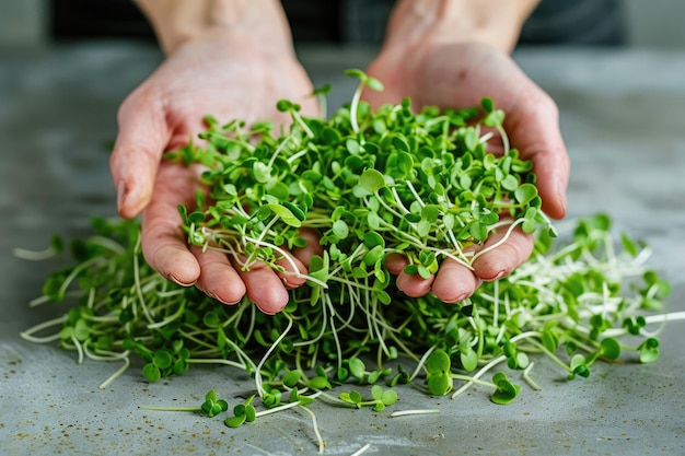 Photo fresh green microgreens held in hands a healthy and vibrant addition to any meal