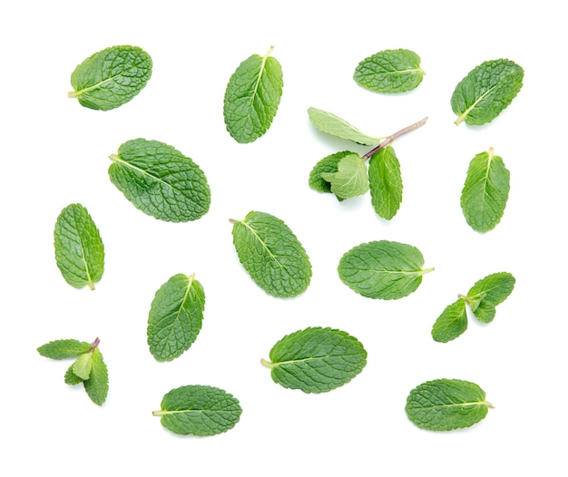 Fresh green mint leaves isolated on white background. top view.