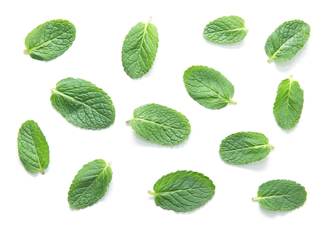 Fresh green mint leaves isolated on white background. top view.