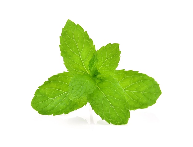 Fresh green mint leaves isolated on white background