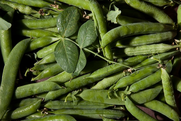 Fresh green pea pods on wooden tray in rustic style