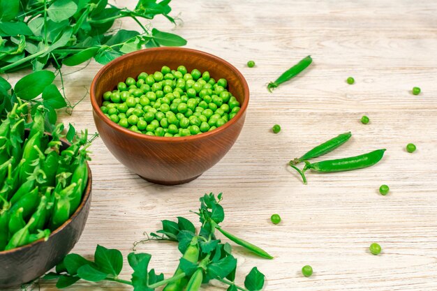 Fresh green peas in a bowl against the background of pea shoots