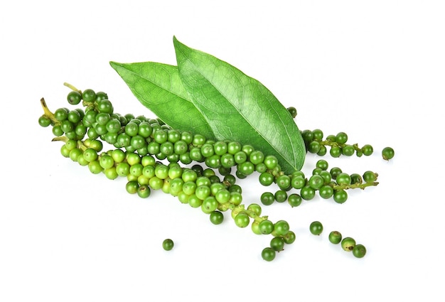 Fresh green peppercorns isolated on  white background