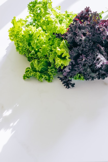 Fresh green and purple kale on marble, copy space