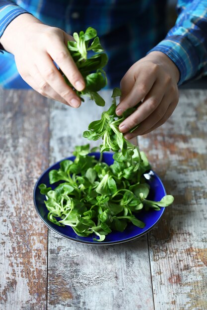 Fresh green salad in male hands. The chef cook holds a green salad over a plate. Salad mash. Diet concept. Spring food.