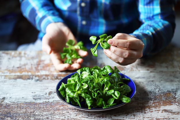 Fresh green salad in male hands. Salad mash. Diet concept.