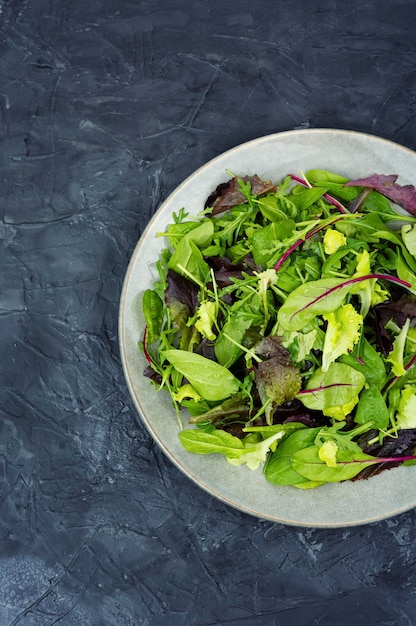 Fresh green salad top view