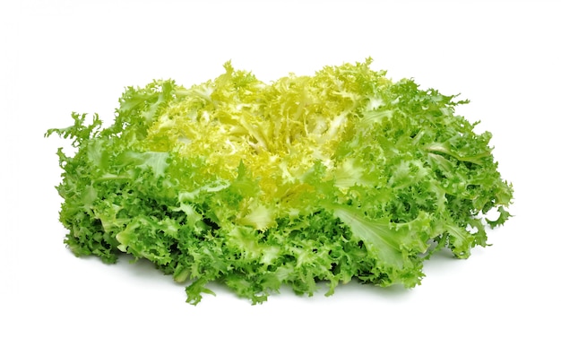 Fresh green salad