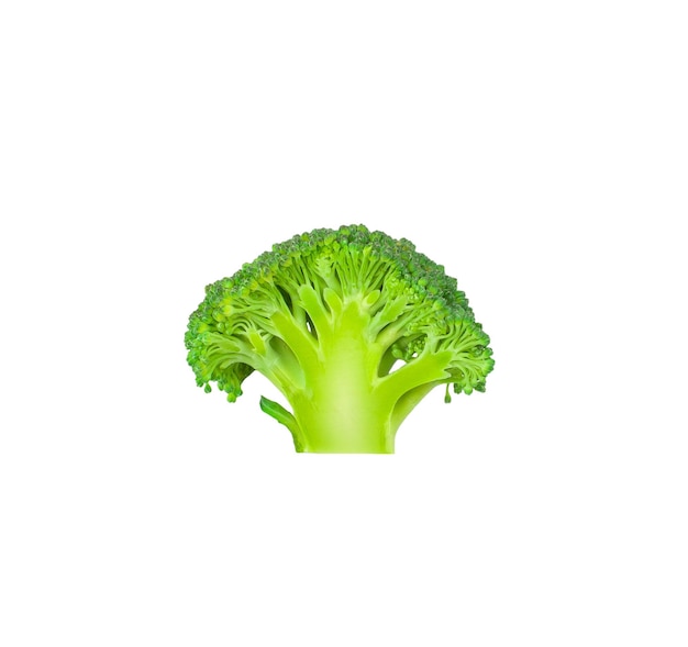 fresh green sliced broccoli isolated on white background