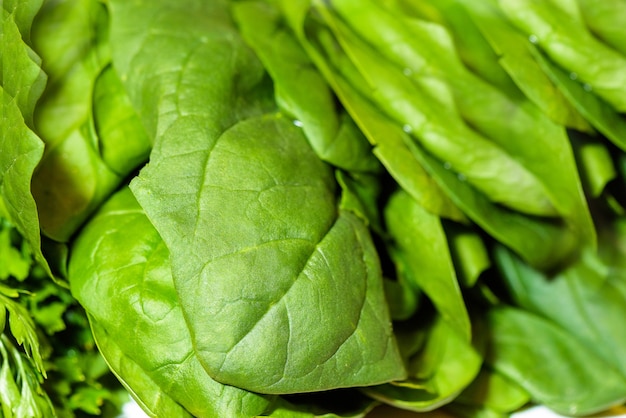 Fresh green spinach leaves detailed close up