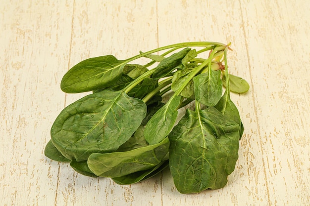 Fresh green Spinach leaves heap