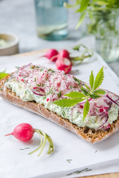 Fresh green spring sandwich with cream cheese and radish at light background. Copyspace