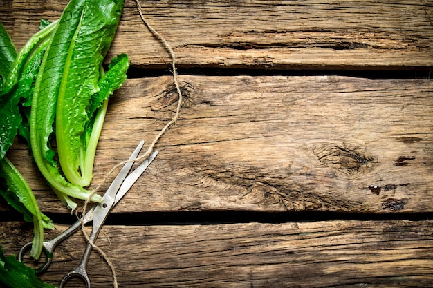 Fresh greens with old scissors. On wooden background.