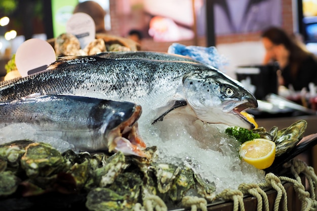 Fresh grouper fish in ice for sale on market.