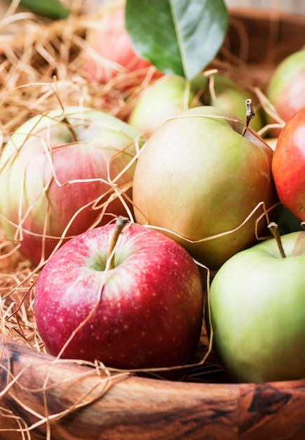 Fresh harvest of autumn sweet apples in a large bowl with hay on a vintage wooden background selective focus and shallow depth of field