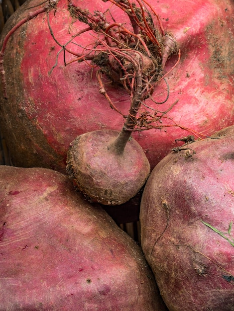 Fresh harvest of beets beet background organic anti cancer food rich in iron