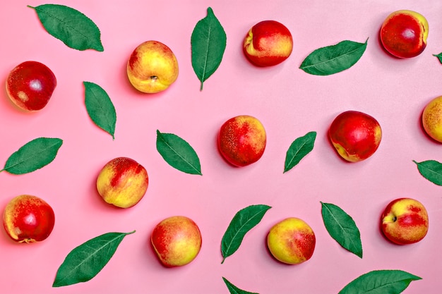 Fresh harvested nectarines lies on pink background Vegetable vitamin Keratin Natural