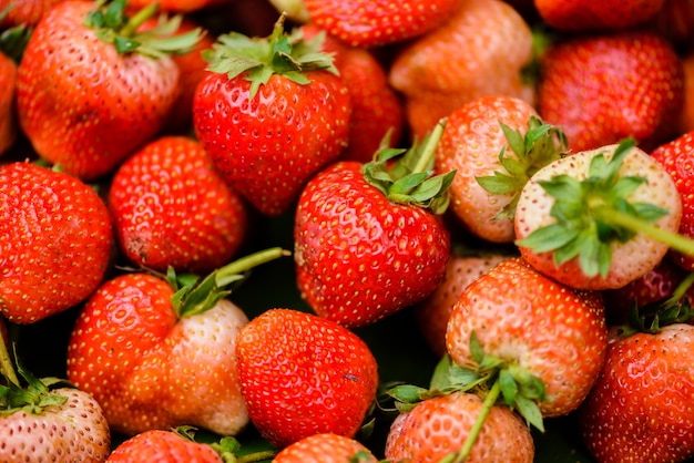 fresh harvested strawberries