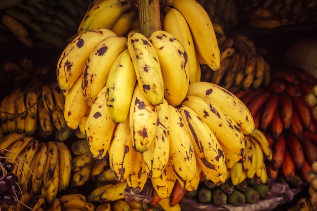 Fresh healthy bio fruits and vegetables on Bremen farmer agricultural market in America