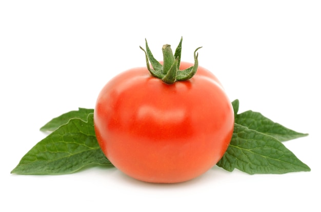 Fresh and healthy tomato isolated on white surface isolated