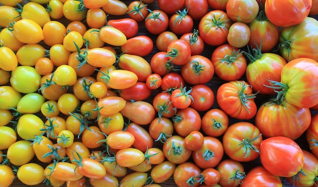 Fresh heirloom tomatoes background organic produce at a Farmers market Tomatoes rainbow