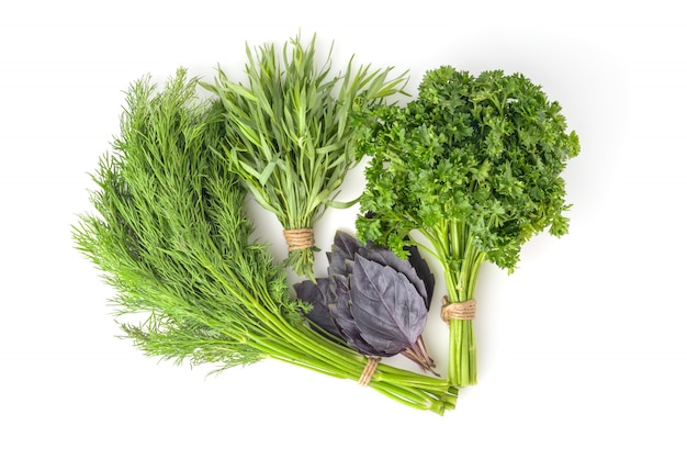 Fresh herbs collection isolated on a white surface