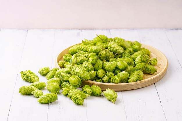 Fresh hops on a monochromatic background