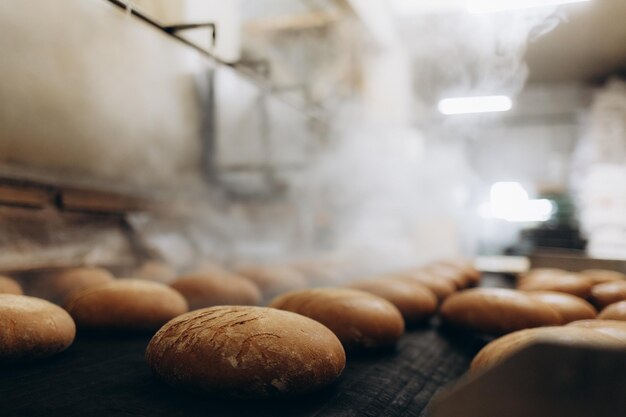 Photo fresh hot baked bread loafs on the production line