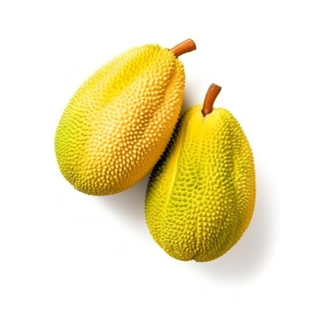 Fresh jack fruit pair isolated on white background