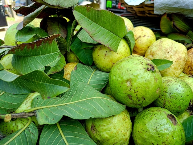 Fresh juicy and healthy sweet guava fruit with leaves