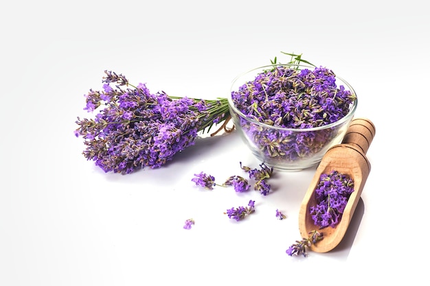 Fresh lavender bunch and lavender flowers in glass bowl. isolated on white background.