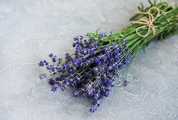 Fresh lavender flowers