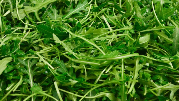 Fresh leaves of arugula as background