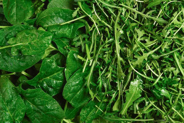 Fresh leaves of arugula and spinach as background