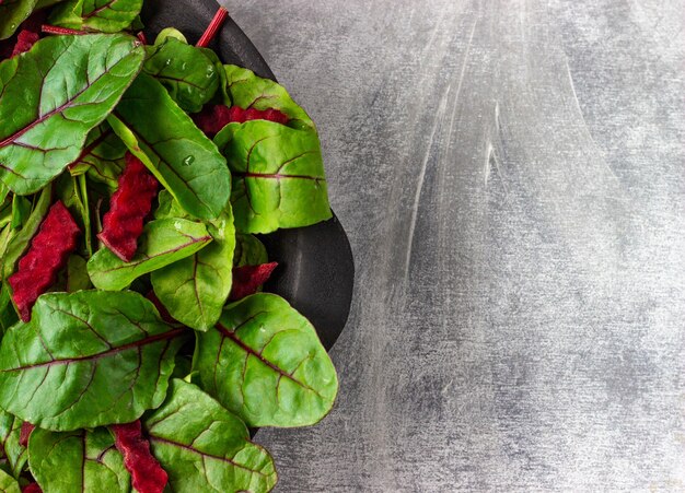 Fresh  leaves on plate, green salad.