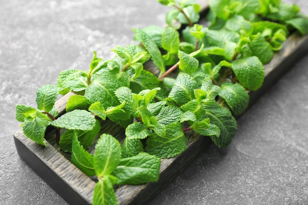 Fresh lemon balm on table closeup