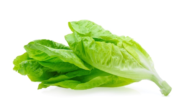 Fresh lettuce (baby cos) on white background