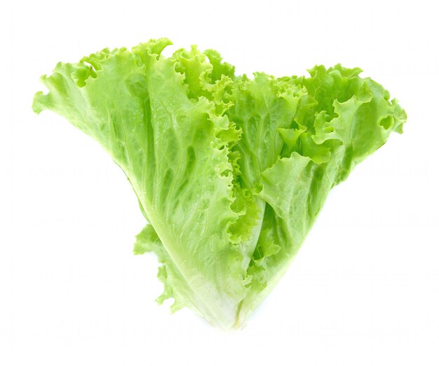 Fresh lettuce isolated on white background