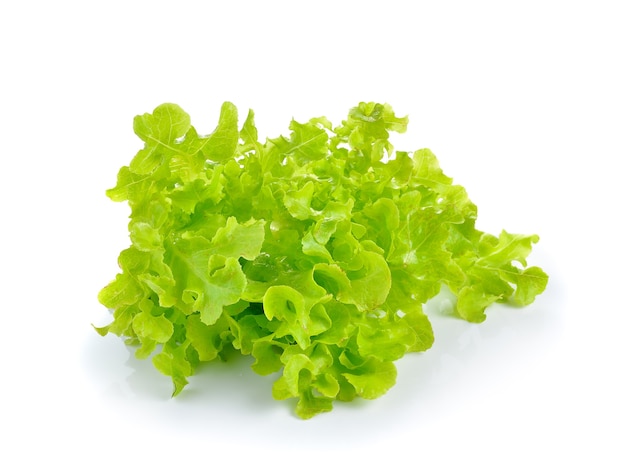 Fresh lettuce isolated