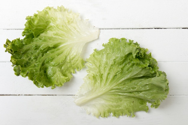 Fresh lettuce leaf isolated on white