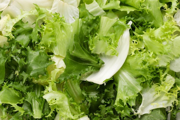 Fresh lettuce leaves background The view from the top