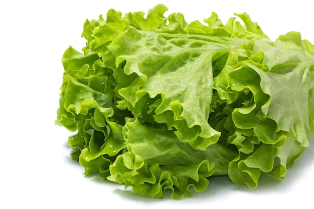 Fresh lettuce leaves isolated on a white background Salat with water drops