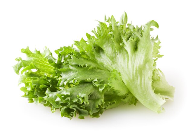 Fresh lettuce leaves isolated on white background