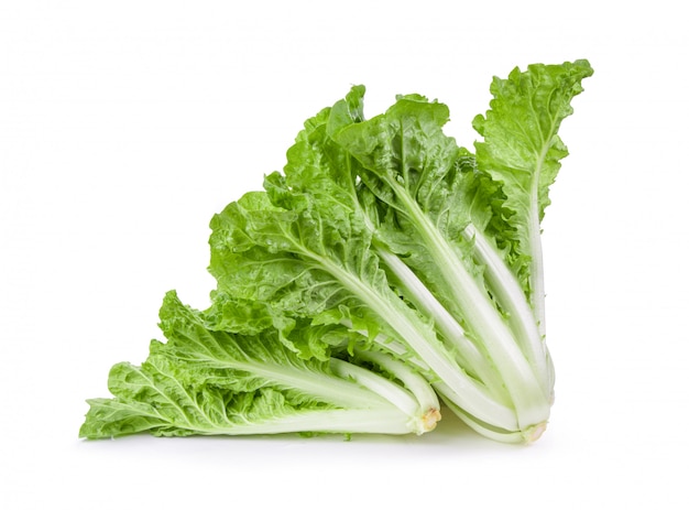 Fresh lettuce leaves isolated on white