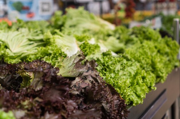 Fresh lettuce in the supermarket Vegetables and fruits exposed for the consumer to choose